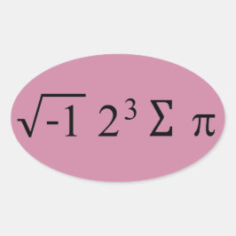 Pi Day I Ate some Pie i 8 sum pi Stickers