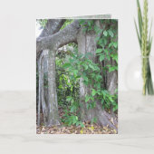 Pi jemand? karte (Vorderseite)