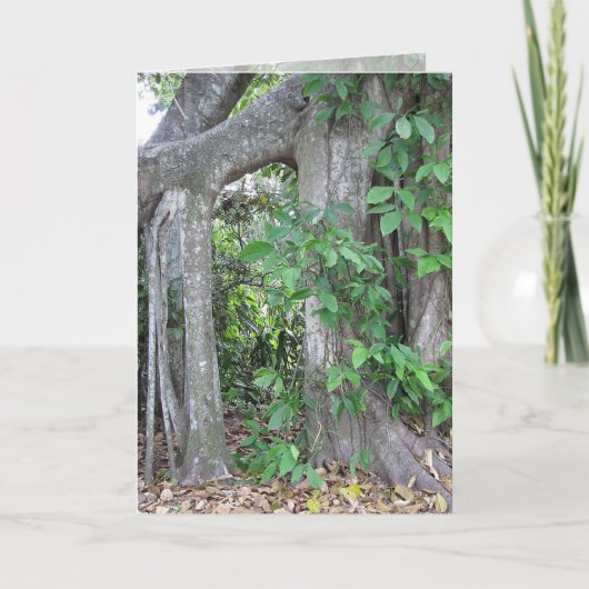 Pi jemand? karte (Vorderseite)