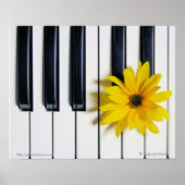 Piano-Blume Poster (Vorne)