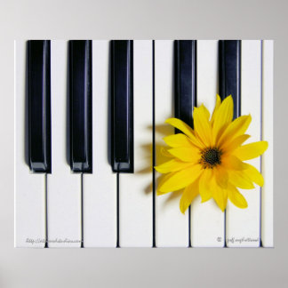 Piano-Blume Poster