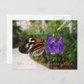 Piano Butterfly Postcard / Zitat Postkarte (Vorne/Hinten)