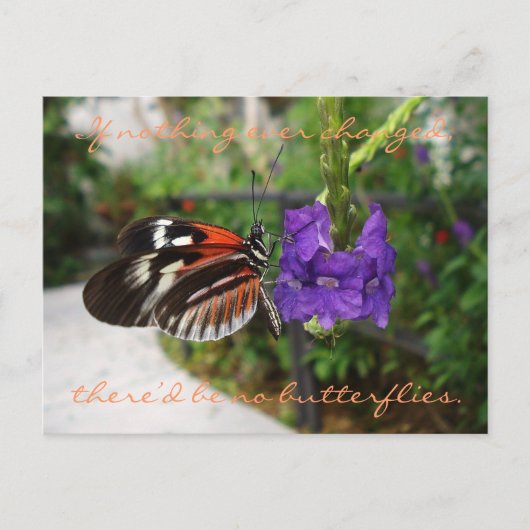 Piano Butterfly Postcard / Zitat Postkarte (Vorderseite)