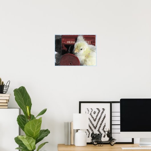 Piano Chick Poster (Heimbüro)