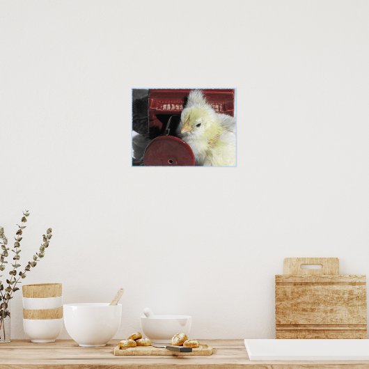 Piano Chick Poster (Küche)