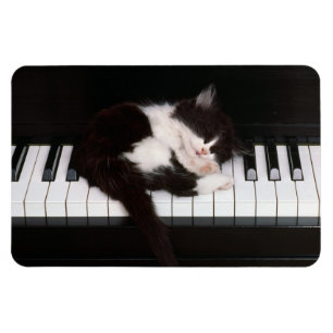 Piano Kitten Magnet