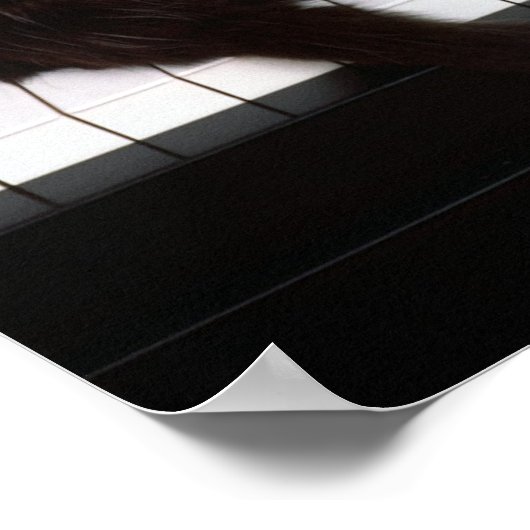 Piano Kitten Poster (Ecke)