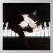 Piano Kitten Poster (Vorne)