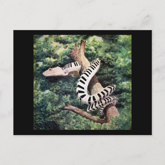 Piano Snake Postkarte (Vorderseite)