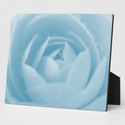 Piazza della Riforma Fotoplatte (Seite)