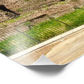 Piazza Vittorio Emanuele II Ruins - Rom, Italien Fotodruck (Ecke)