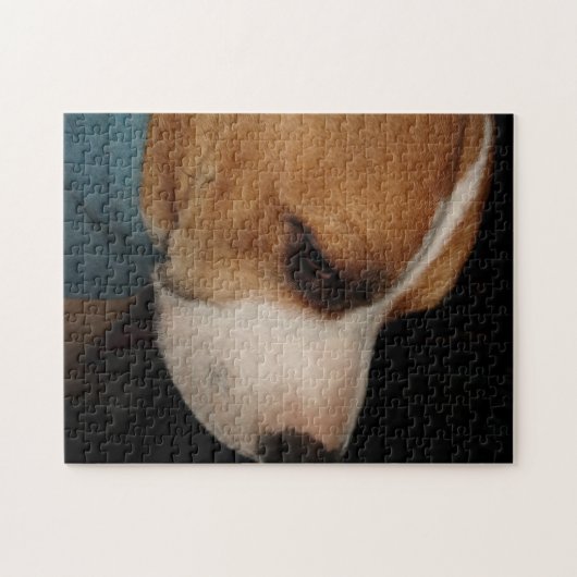 Pibbles Puzzle (Horizontal)