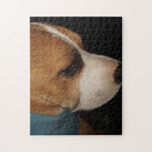 Pibbles Puzzle