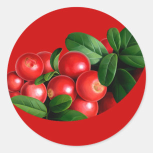 pic_04 runder aufkleber