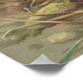 Pica pica Lycus monedula Poster (Ecke)