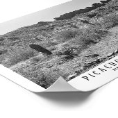Picacho Peak Staat Park Keepake Arizona Poster (Ecke)