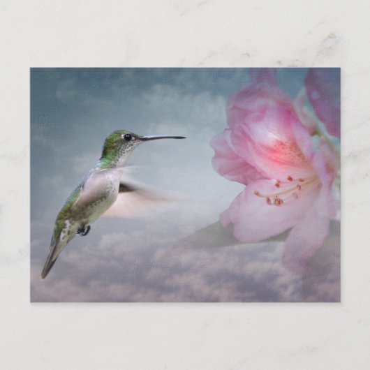 Picaflores Postkarte (Vorderseite)