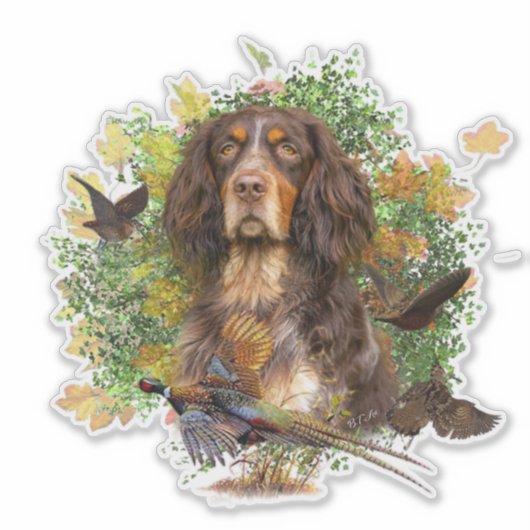Picardie Spaniel , Jagdsaison Aufkleber (Vorderseite)