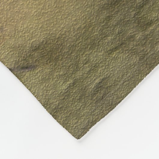 Picardie Spaniel , Jagdsaison Fleecedecke (Ecke)