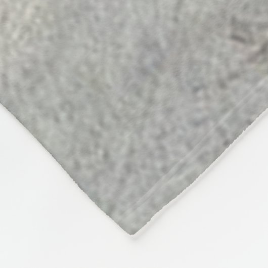 Picardie Spaniel , Jagdsaison Fleecedecke (Ecke)