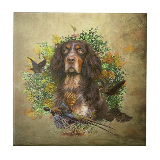 Picardie Spaniel , Jagdsaison Fliese (Vorderseite)