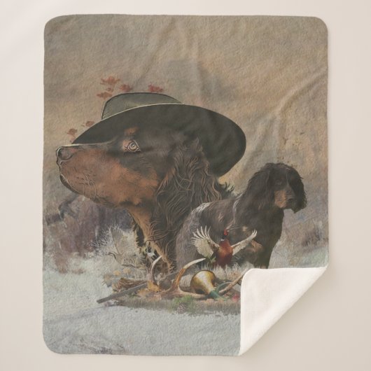 Picardie Spaniel , Jagdsaison Sherpadecke (Vorderseite)