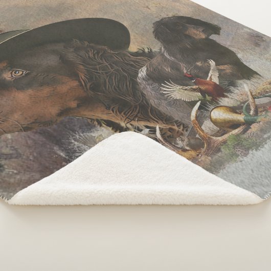 Picardie Spaniel , Jagdsaison Sherpadecke (3/4)