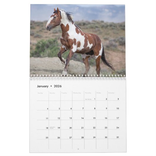 Picasso II - Kalender der wilden Pferde (Jan 2026)