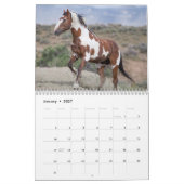Picasso II - Kalender der wilden Pferde (Jan 2027)