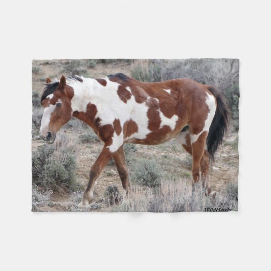 Picasso-Ikone des Sand-Waschbeckens, Colorado Fleecedecke (Vorderseite (Horizontal))