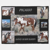 Picasso-Ikone des Sand-Waschbeckens, Colorado Fleecedecke (Vorderseite (Horizontal))