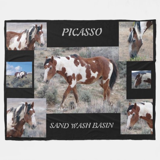 Picasso-Ikone des Sand-Waschbeckens, Colorado Fleecedecke (Vorderseite (Horizontal))