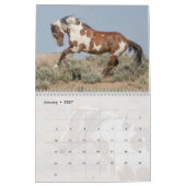 Picasso: Kalender des Sandwaschbeckens (Jan 2027)