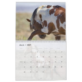 Picasso: Kalender des Sandwaschbeckens (Mär 2027)