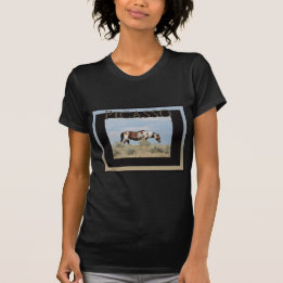 Picasso, Stallion des Sand-Waschbeckens, Colorado T-Shirt