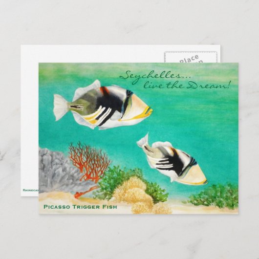 Picasso Trigger Fish Postkarte (Vorne/Hinten)