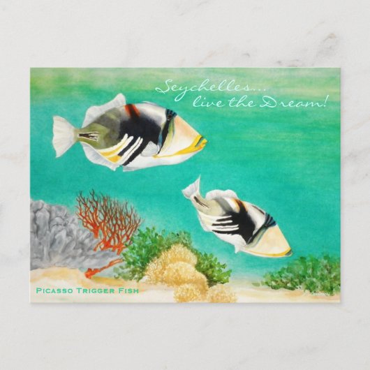 Picasso Trigger Fish Postkarte (Vorderseite)