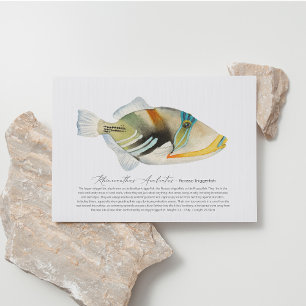 Picasso Triggerfish Feiertagspostkarte