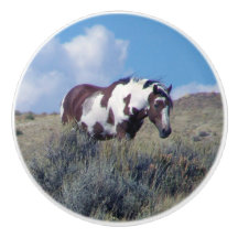 Picasso unter einem blauen Himmel