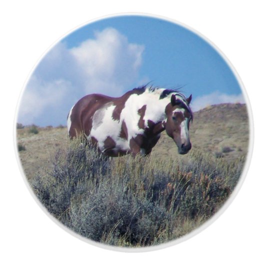 Picasso unter einem blauen Himmel Keramikknauf (Vorderseite)