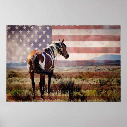 Picasso vom Sandwaschbecken Poster (Vorne)