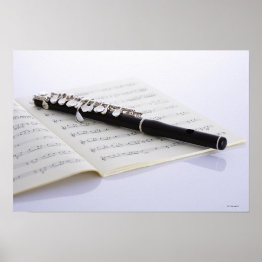 Piccolo Poster (Vorne)