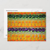 Pick a Prize RehoBeide Beach, DE Boardwalk Postcar Postkarte (Vorne/Hinten)