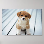 PICK AUF JEMANDEM, DER IHRE EIGENE GRÖSSE HAT POSTER (Vorne)