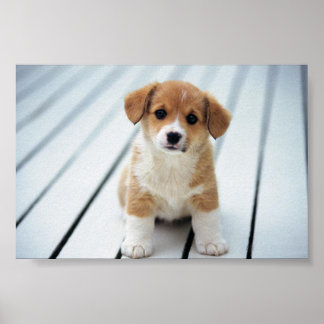 PICK AUF JEMANDEM, DER IHRE EIGENE GRÖSSE HAT POSTER