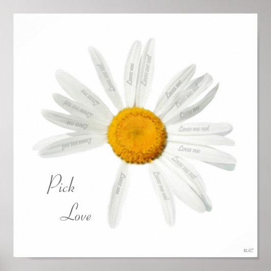 Pick Liebe Daisy Poster (Vorne)