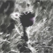 Pick Me Aufkleber (Vorderseite)