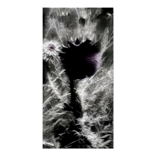 Pick Me Poster (Vorderseite)