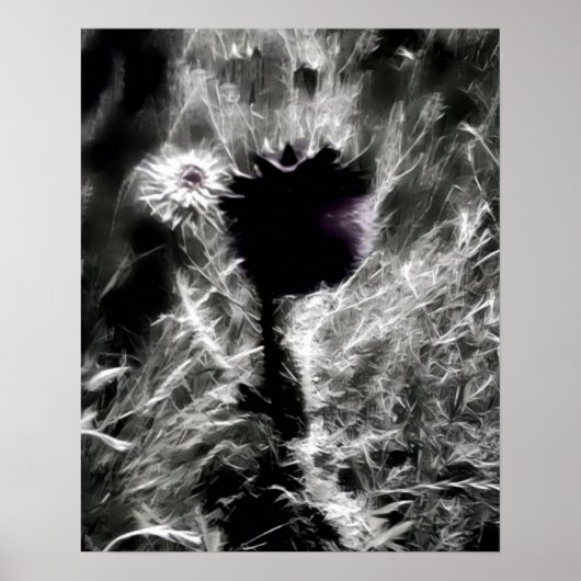 Pick Me Poster (Vorne)