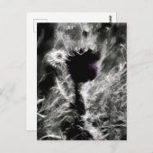 Pick Me Postkarte (Vorne/Hinten)